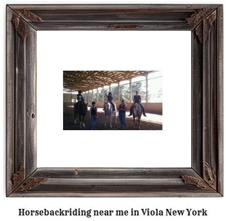 horseback riding near me in Viola, New York